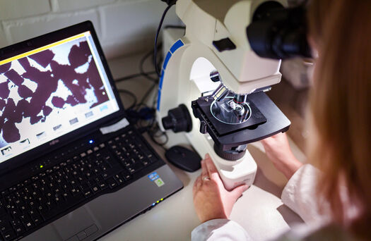 Laboruntersuchungen mit einem Laptop sind zu sehen. Im Vordergrund schaut eine junge Ingenieurin in ein Mikroskop.